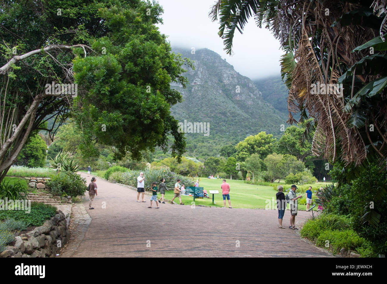 Jardins botaniques de Kirstenbosch, Cape Town, Afrique du Sud Banque D'Images