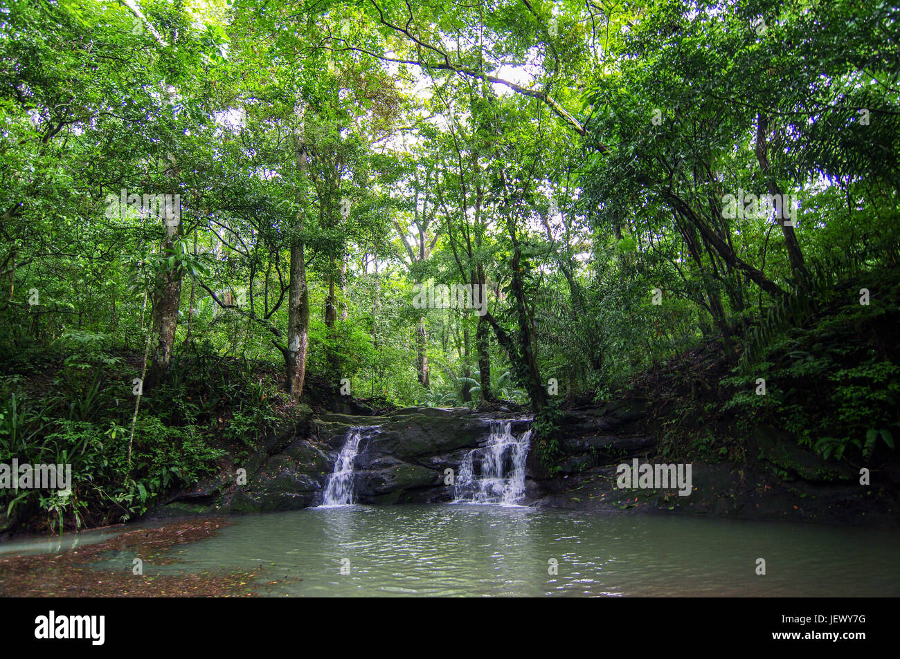 Forêt tropicale scène El charco cascade Banque D'Images