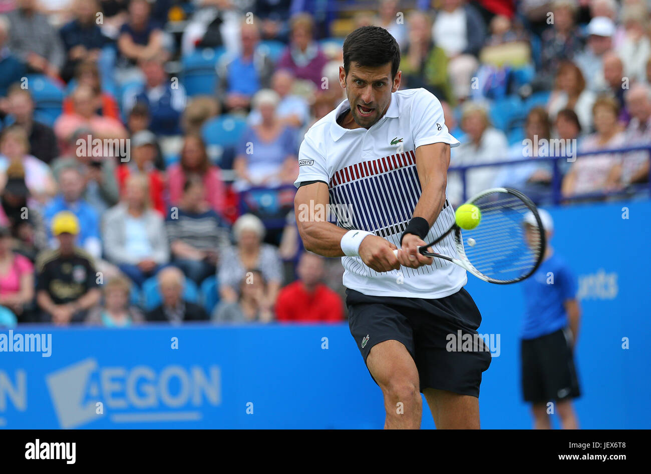 Eastbourne, Royaume-Uni. 28 Juin, 2017. La Serbie de Novak Djokovic en action contre Vasek Pospisil du Canada au cours de la quatrième journée de l'Aegon Eastbourne International le 28 juin 2017 à Eastbourne, Angleterre Crédit : Paul Terry Photo/Alamy Live News Banque D'Images