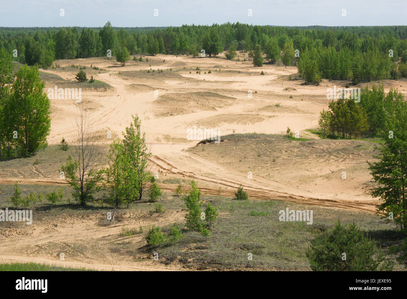 Compensation de sable,dans les bois,la nature,nature,Protection de la nature, l'écologie,la déforestation,desert,déserté,évacués,dépôt minéral, abattage d'arbre,Indus, Banque D'Images