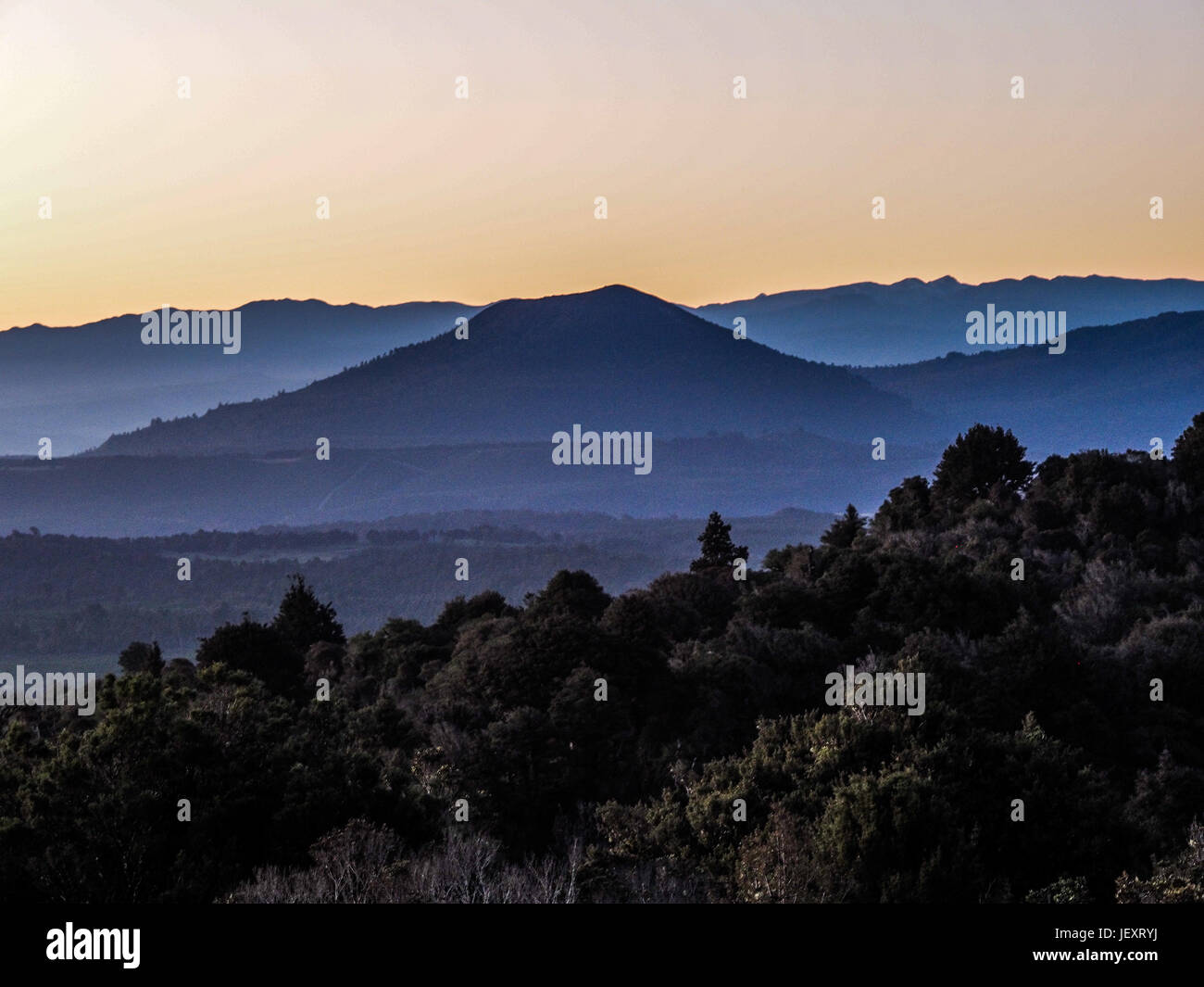 Vue de l'Waitahi à la selle à l'ouest sur le cours supérieur de la rivière Whanganui, Tongario Forêt, Ruapehu, District de la Nouvelle-Zélande Banque D'Images