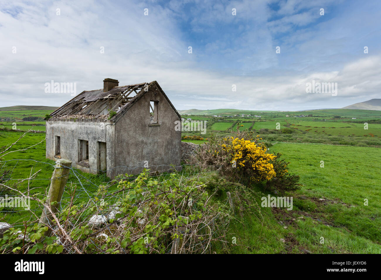 Cottage abandonné sur la péninsule de Dingle, Irlande Banque D'Images