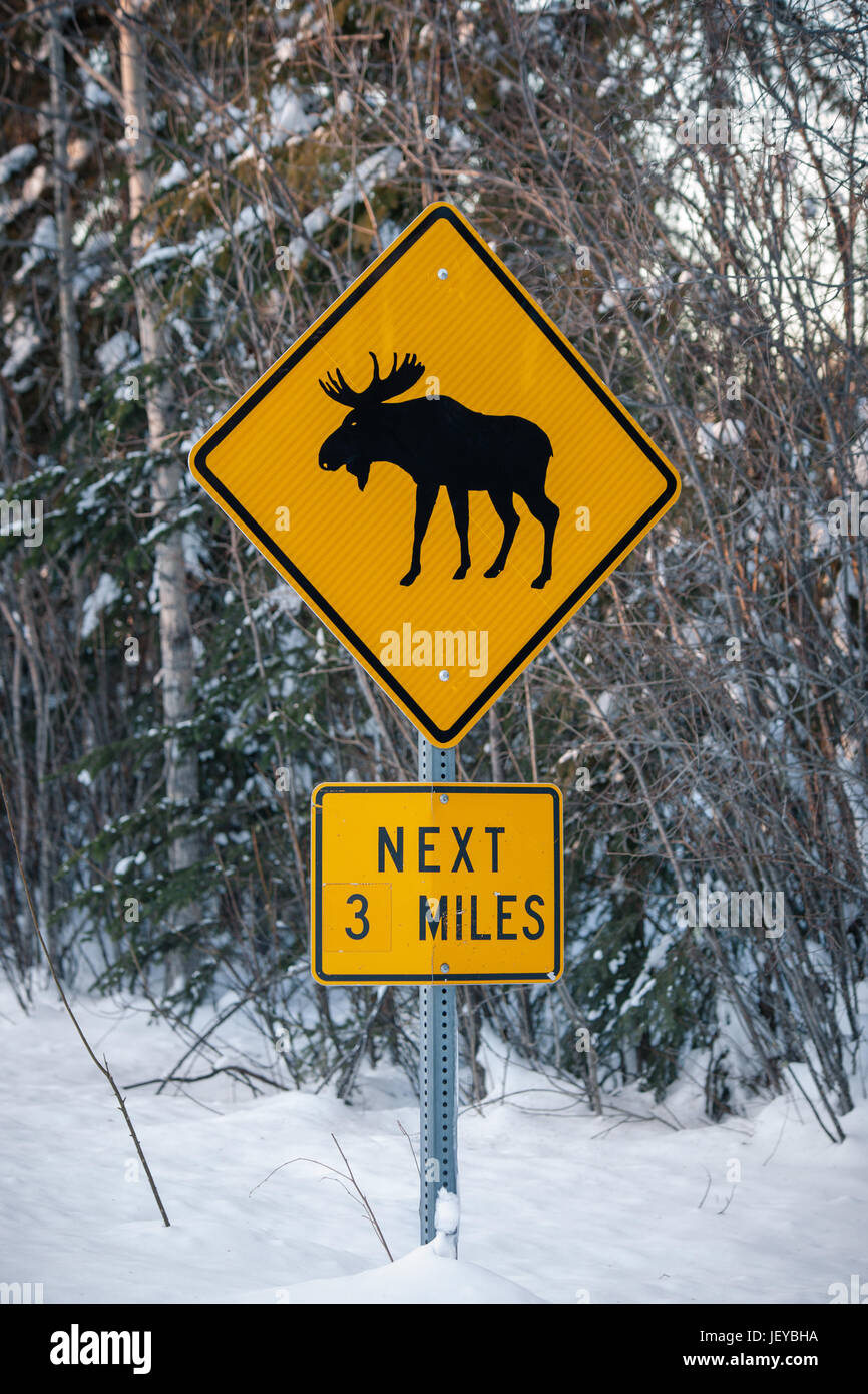 Moose crossing sign en forme de diamant dans la région de Fairbanks, AK en hiver. Banque D'Images