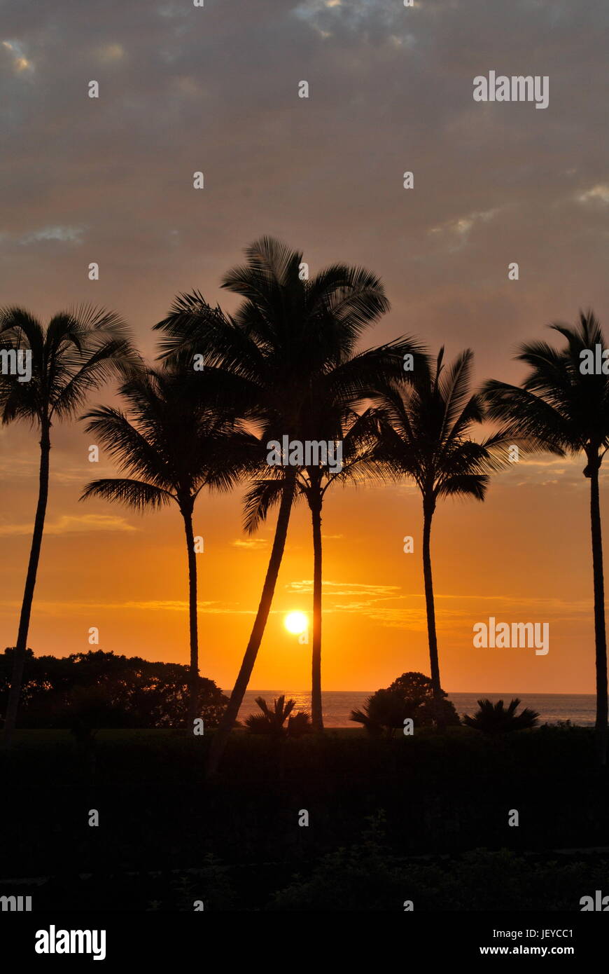 Beau Coucher de soleil Hawaïen le long de la côte de Maui Banque D'Images