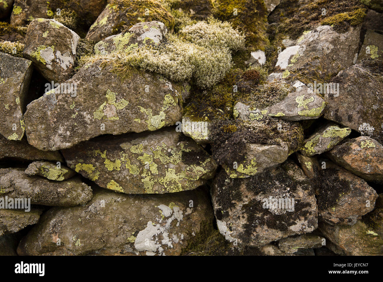 Keswick, Cumbria, Royaume-Uni, cercle de pierres de Castlerigg, couverts de lichens mur en pierre sèche bordant country lane Banque D'Images