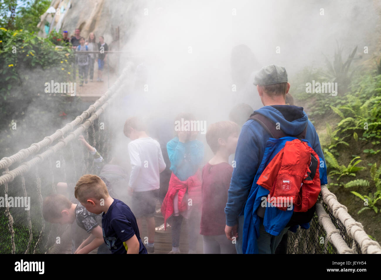 Les enfants jouent sur le pont de nuages, la promenade dans la forêt tropicale, une brume d'eau pulvérisée sur un pont de corde à l'intérieur du projet eden, cornwall, royaume-uni Banque D'Images