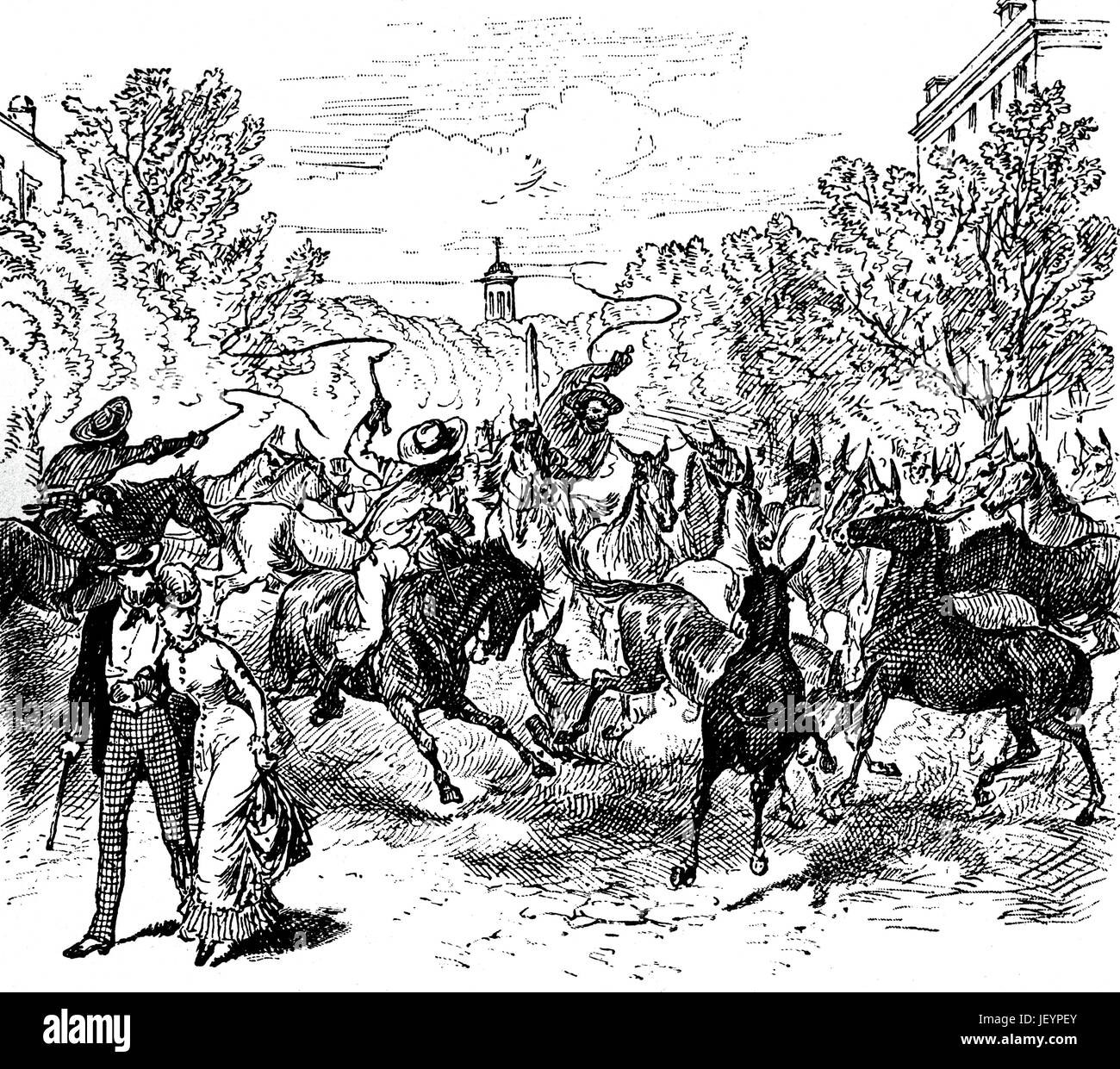 1879 : une ruée de mulets de Augusta, Géorgie, Etats-Unis d'Amérique. Banque D'Images