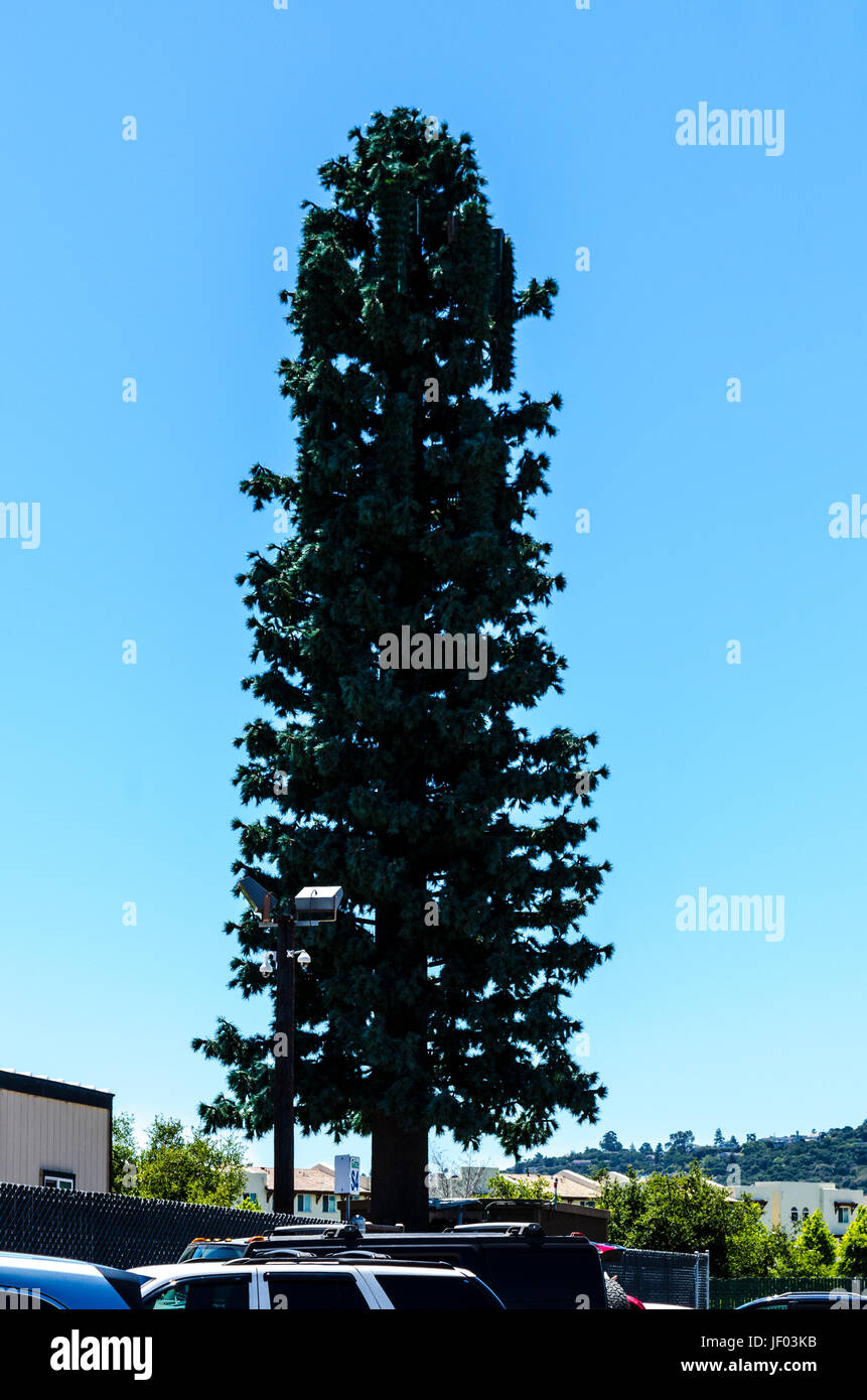 Les choses au juste les décideurs à San Mateo en Californie 2017 Banque D'Images