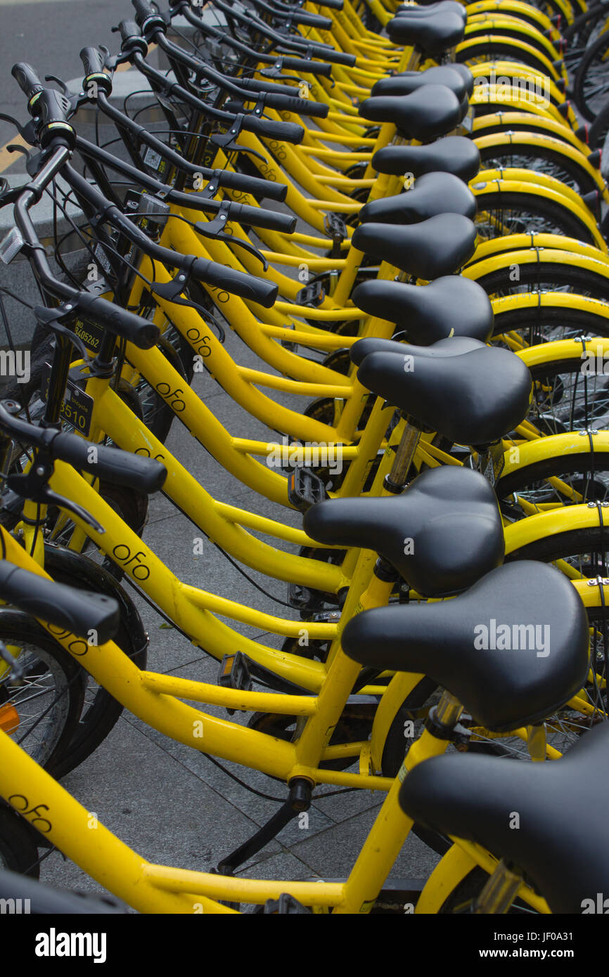 Des vélos à Public rues de Shenzhen, Guangdong, en république populaire de Chine ; vélo Ofo opérateur - vélos jaunes Banque D'Images