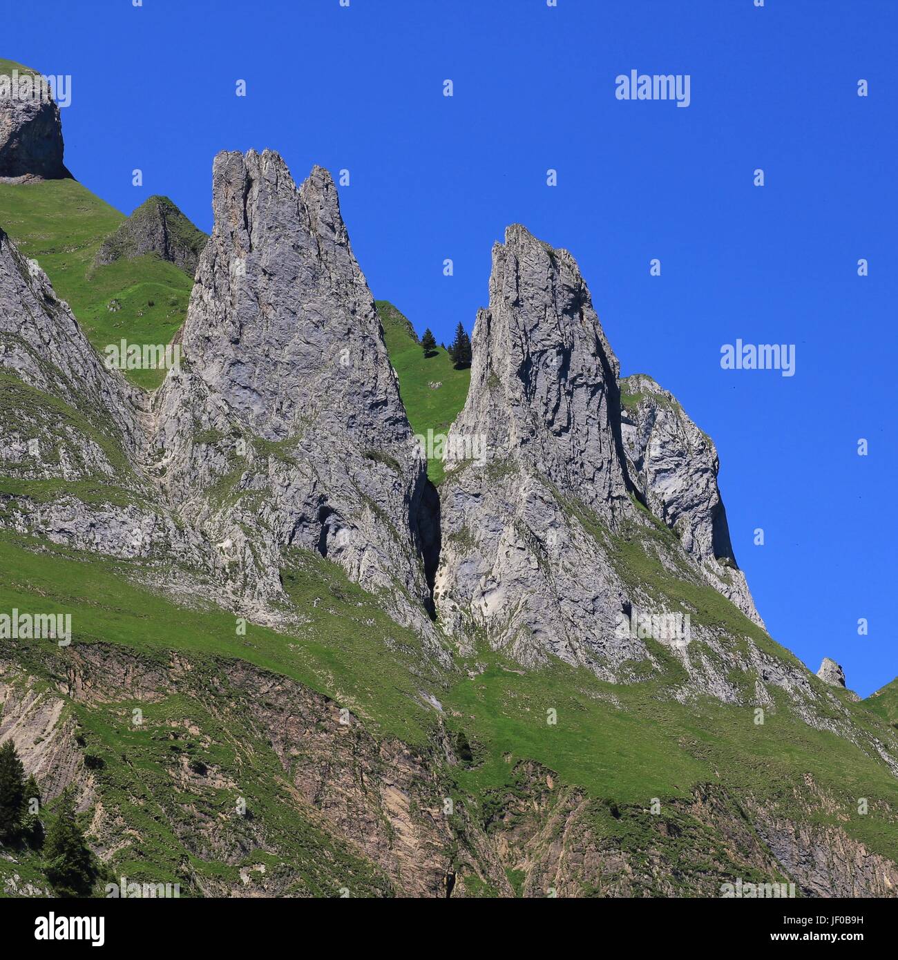 Les roches dans le canton d'Appenzell, Suisse Banque D'Images