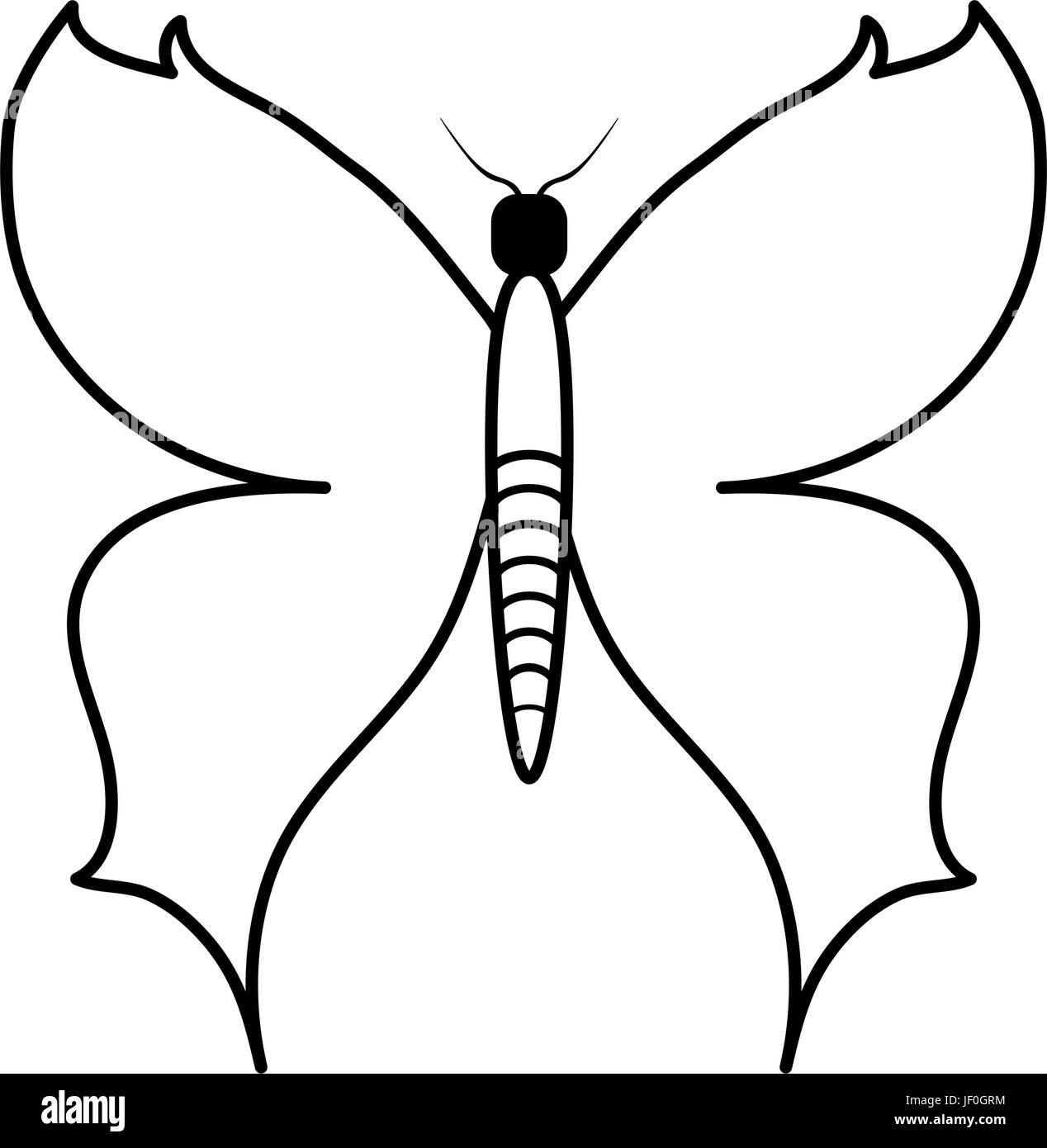 Dessin animé papillon droit Illustration de Vecteur