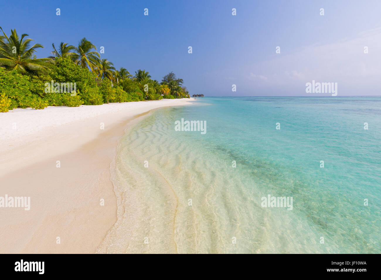 Vacances d'été vacances de luxe et concept l'arrière-plan. Plage d'été nature et tropical island banner Banque D'Images