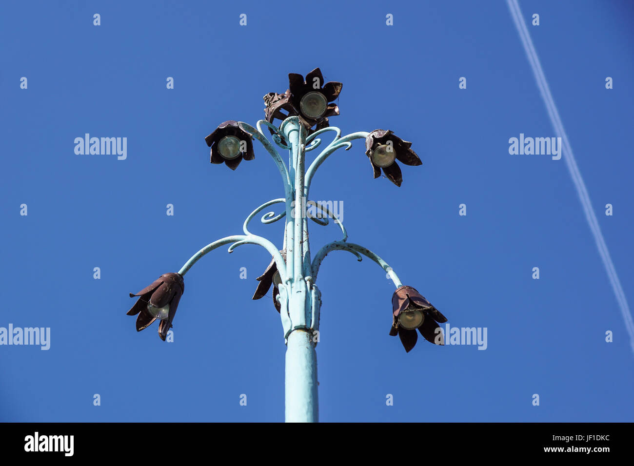 Fleurs en forme de lampe de rue Banque D'Images