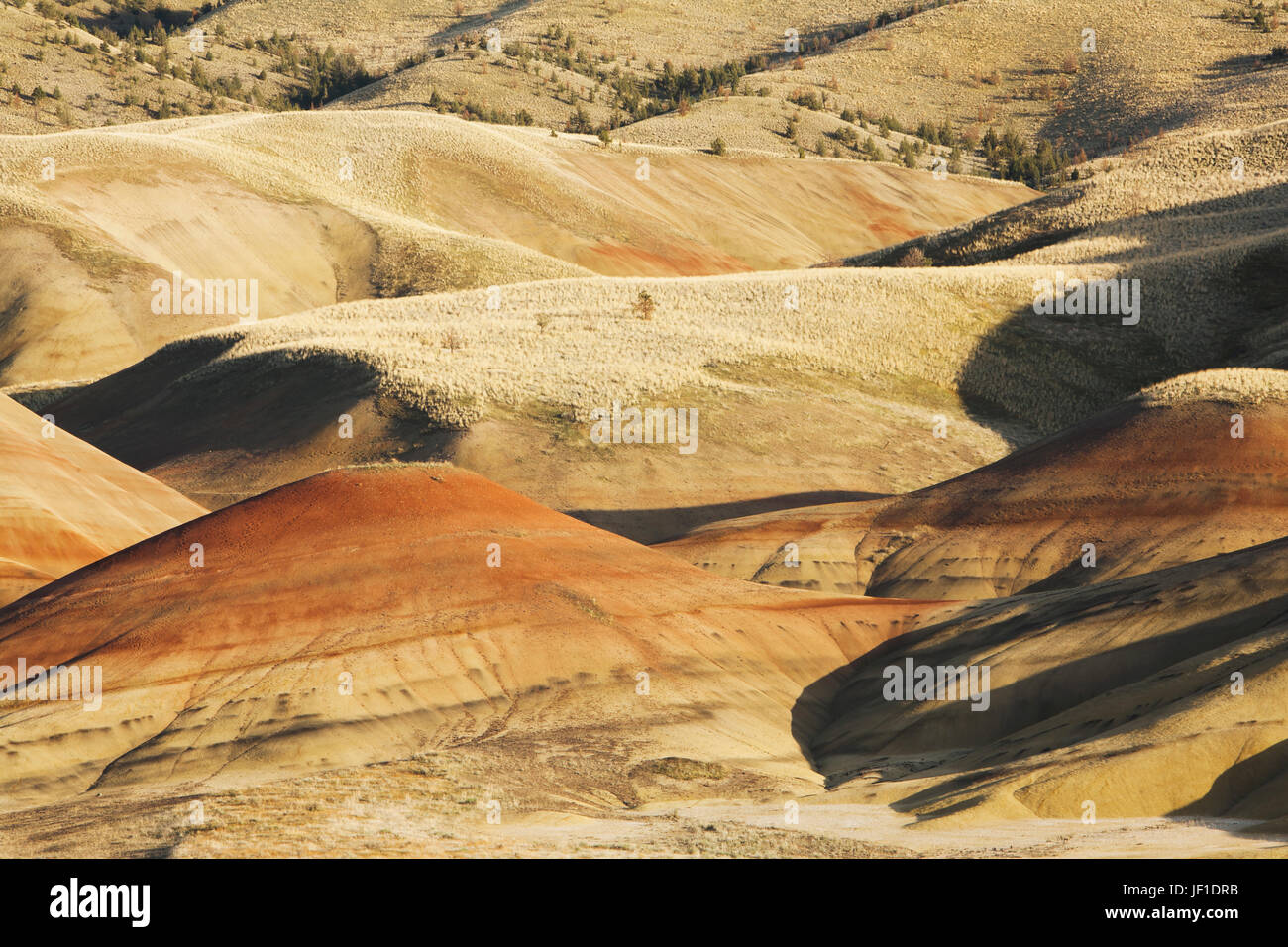 Le Painted Hills, paysage avec couches rouge qui traverse les pentes dans le John Day Fossil jumeaux National Monument dans l'Oregon. Banque D'Images