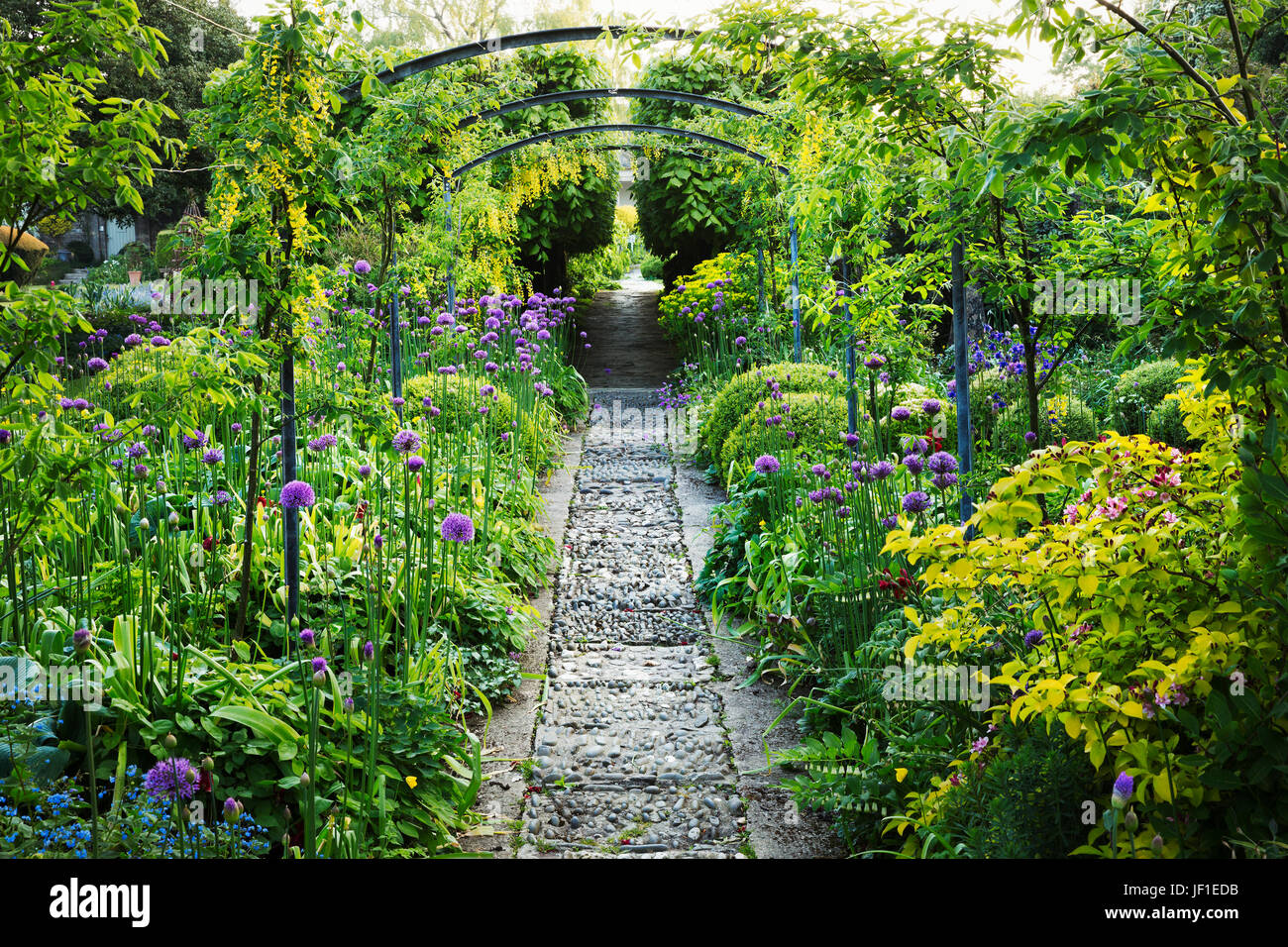 Les plantes et arbustes dans un jardin anglais, voie d'exposition et d'une pergola. En pierre de Cotswold, violet Floraison aliums. Glouchestershire jardins de l'hôtel Banque D'Images