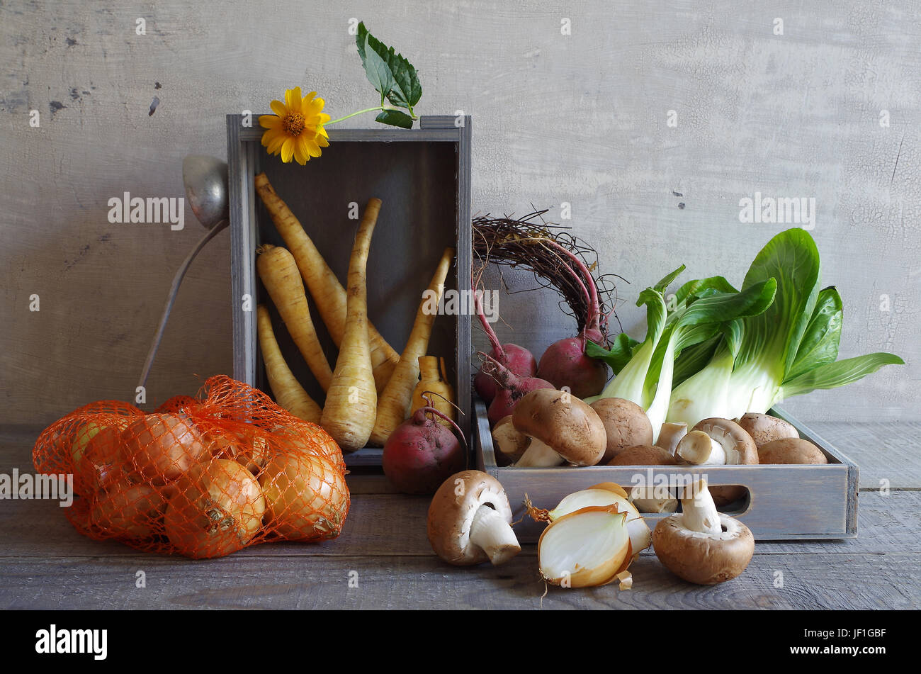 La vie toujours avec des légumes d'automne Banque D'Images