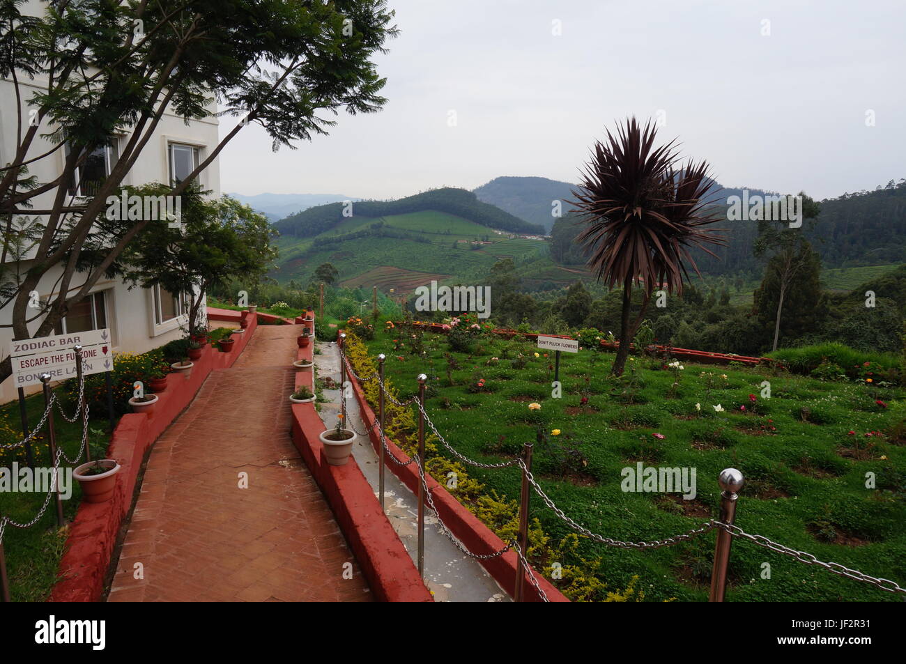 Photos aléatoires Banque D'Images