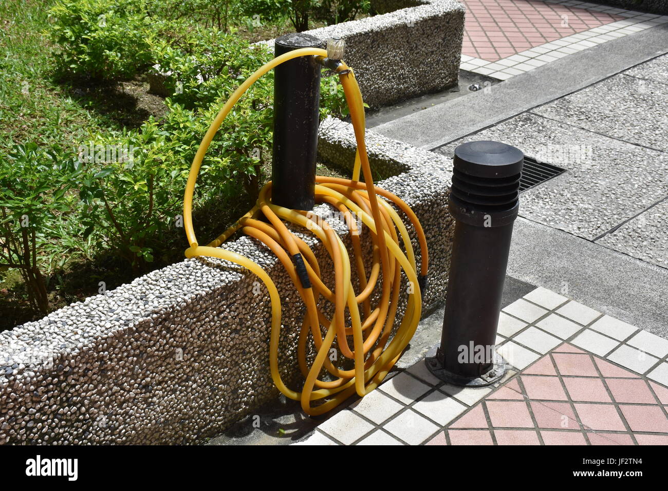 Tuyau de jardin jaune longue enroulée autour d'un robinet près de buissons et l'herbe sur mur de pierre. Banque D'Images