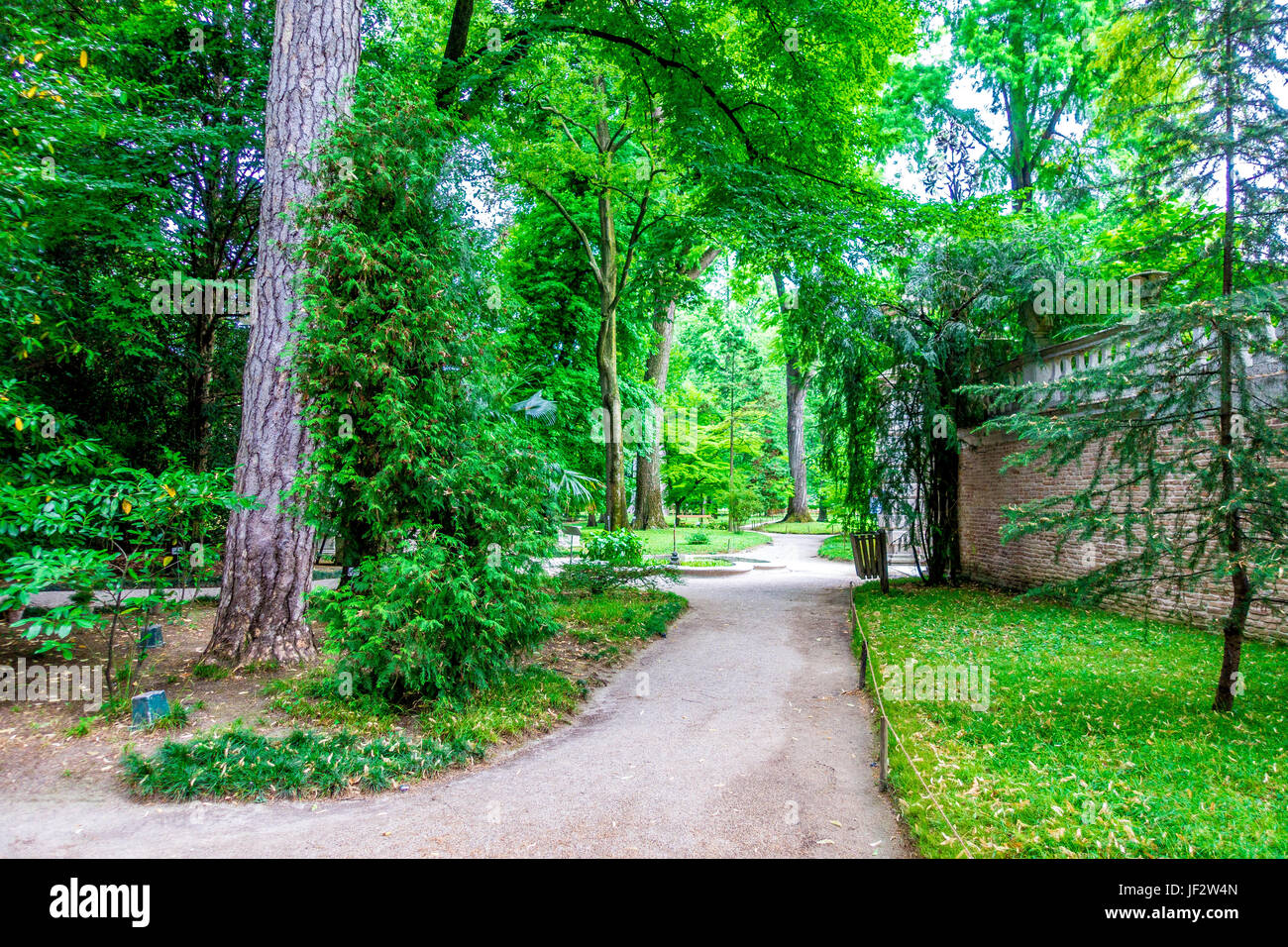 Jardin botanique de Padoue, Italie Banque D'Images