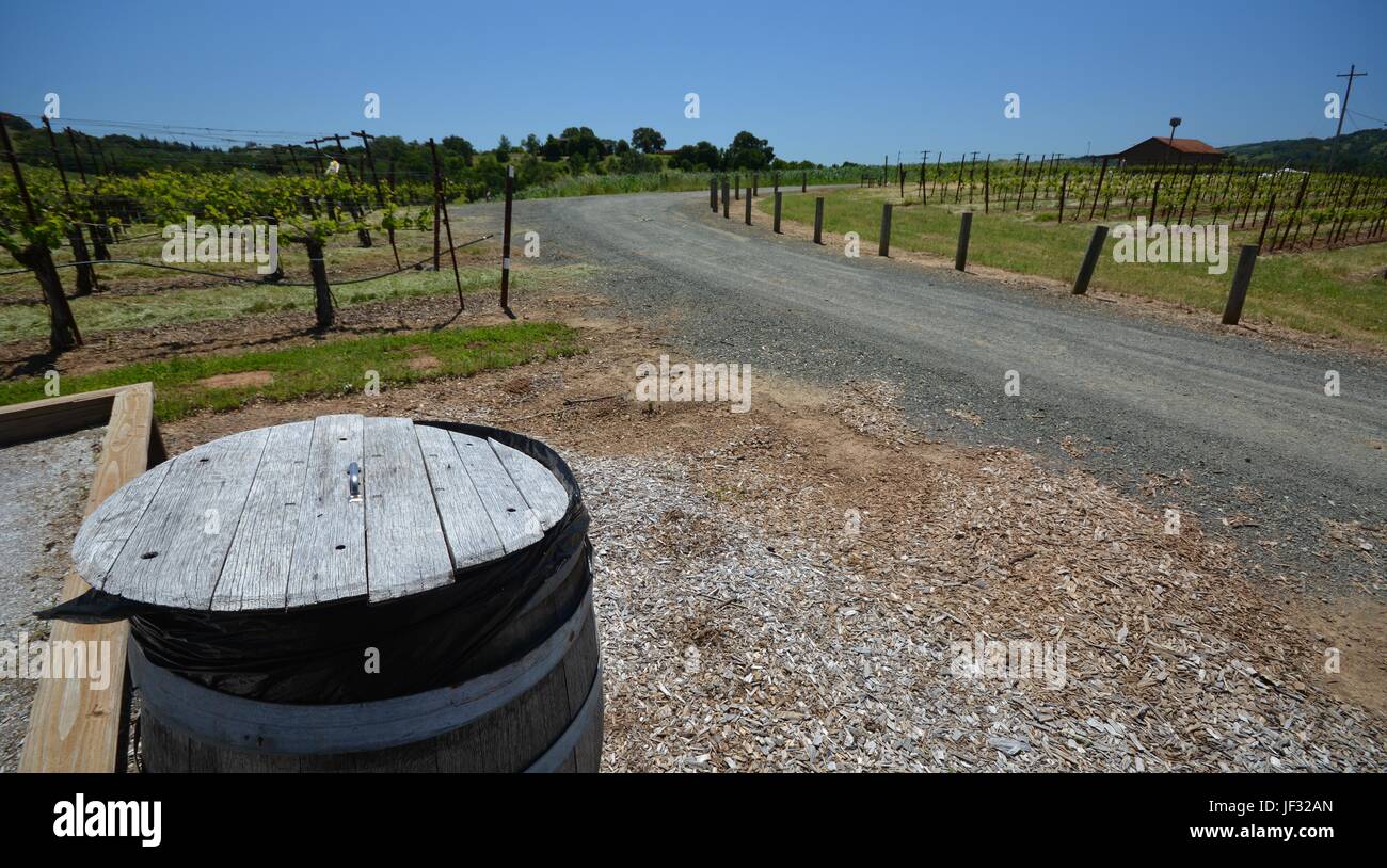 Impressions d'Hanna Winery & Vineyards, Alexander Valley salle de dégustation du Comté de Sonoma à partir du 29 avril 2017, California USA Banque D'Images