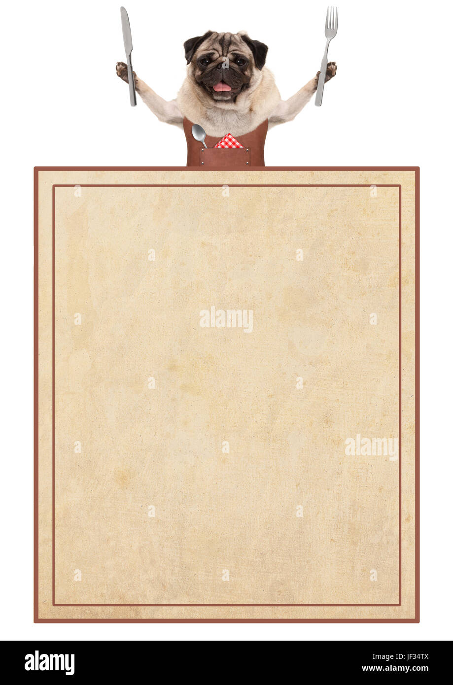 Heureux le pug dog wearing tablier barbecue en cuir, la tenue des couverts pour manger, avec de vieux papier vintage carte de menu, isolé sur fond blanc Banque D'Images