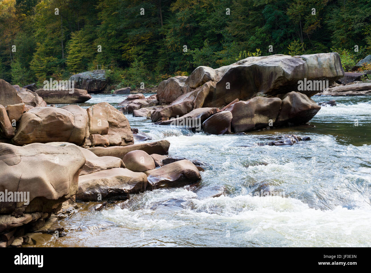 Voir de rapides de la rivière près de Albright de triche Banque D'Images