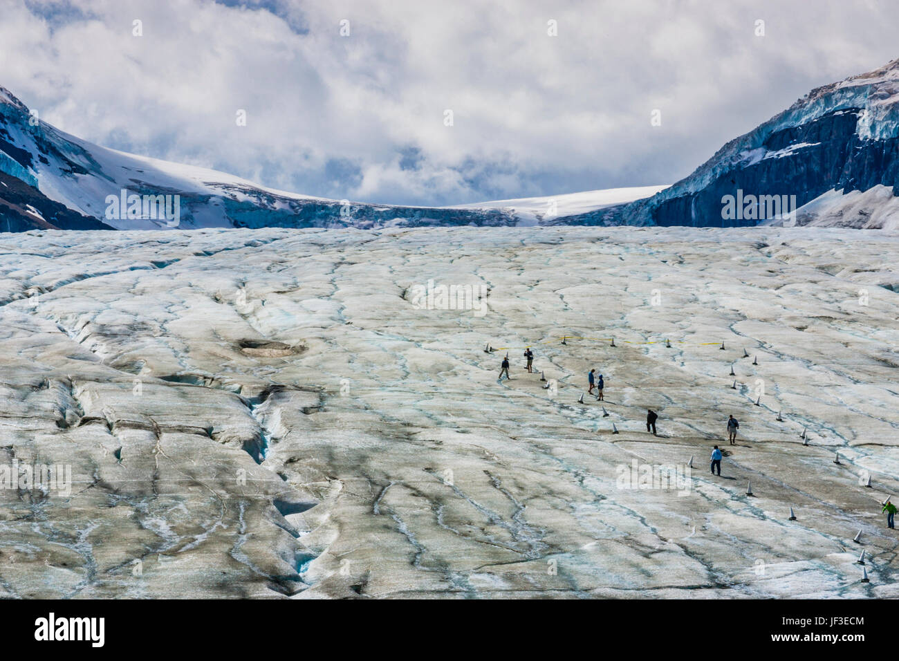 L'Athabasca est le glacier le plus visité du continent nord-américain.  Situé en face du centre Icefield, sa glace est en mouvement continu Photo  Stock - Alamy