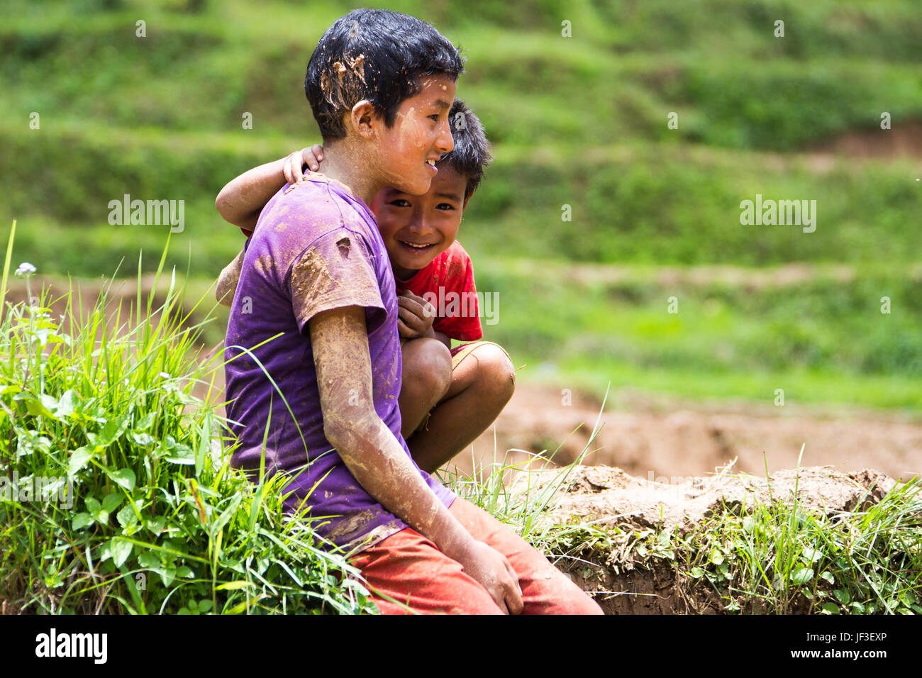 Les garçons népalais dans un champ de riz, district de Nuwakot, Népal Banque D'Images