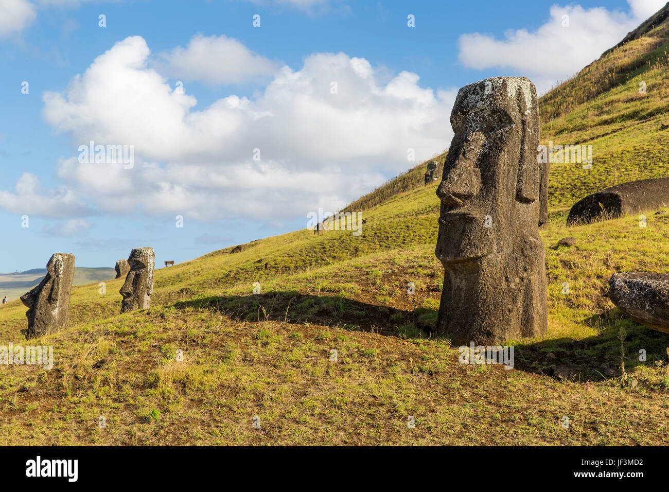 Moai statue à Rano Raraku, île de Pâques, Chili Banque D'Images