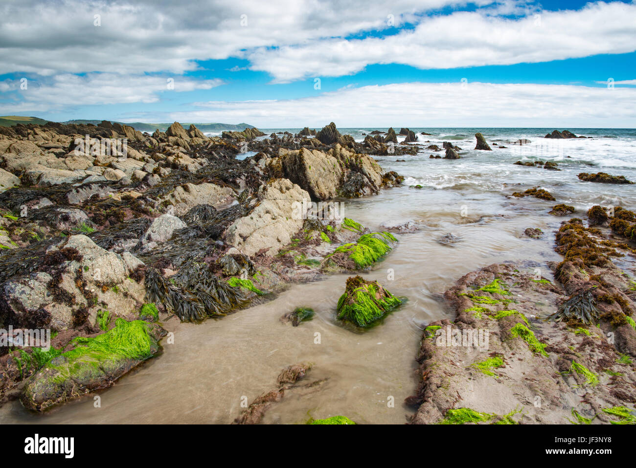 Plage de Whitsand Bay Finnygook dans, SE Cornwall. Banque D'Images