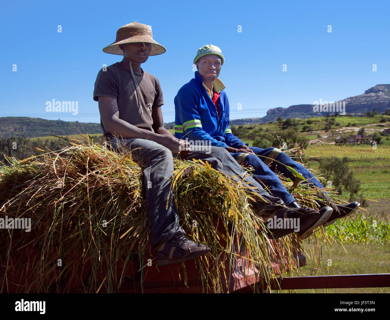 Close-up deux hommes à cheval charrette chargée de la vallée de la rivière Hlotse district de Leribe Lesotho Afrique du Sud Banque D'Images