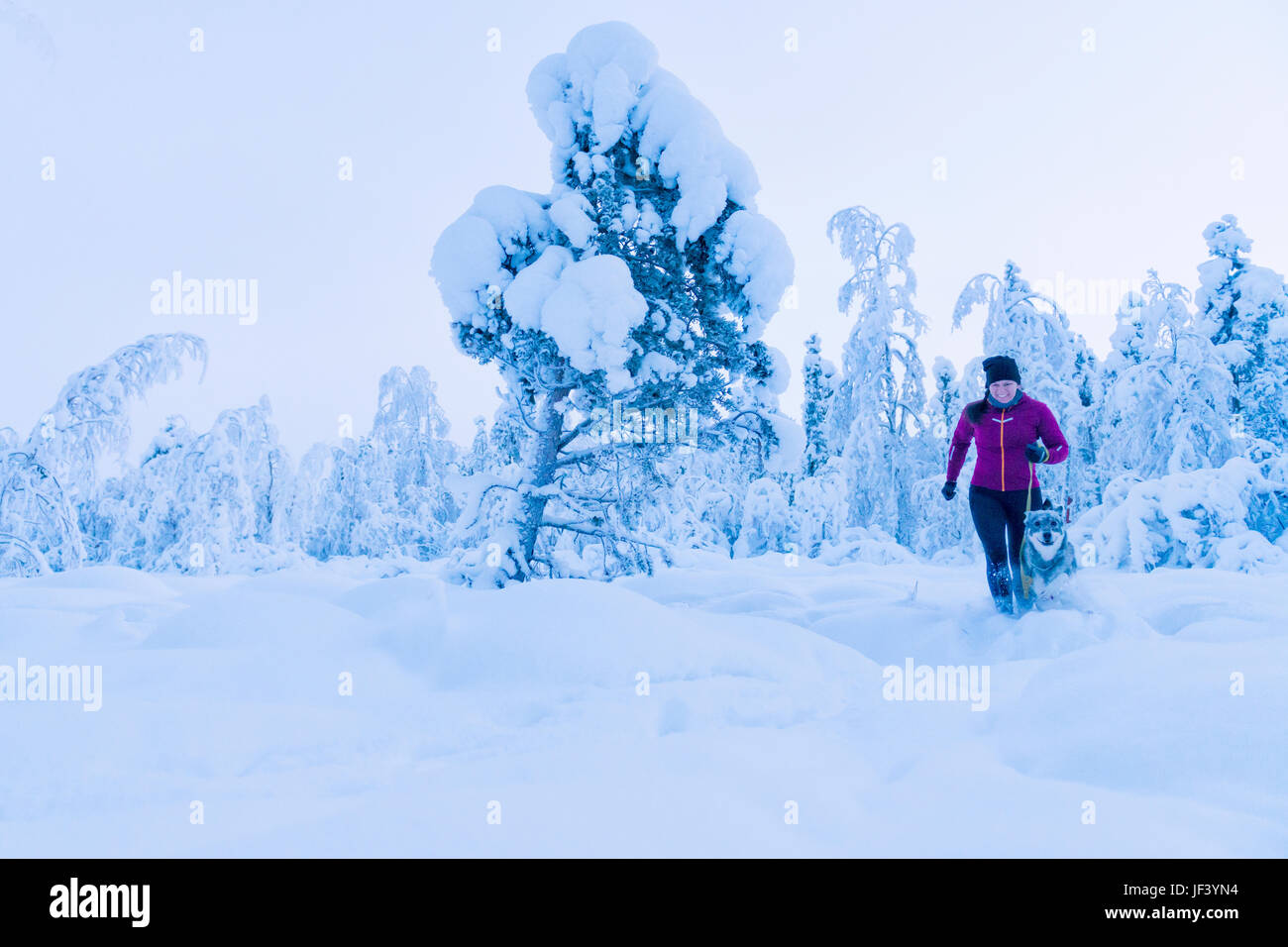 Woman with dog at winter Banque D'Images