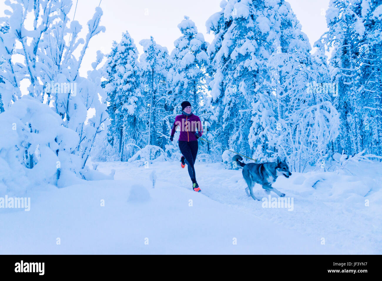 Woman with dog at winter Banque D'Images