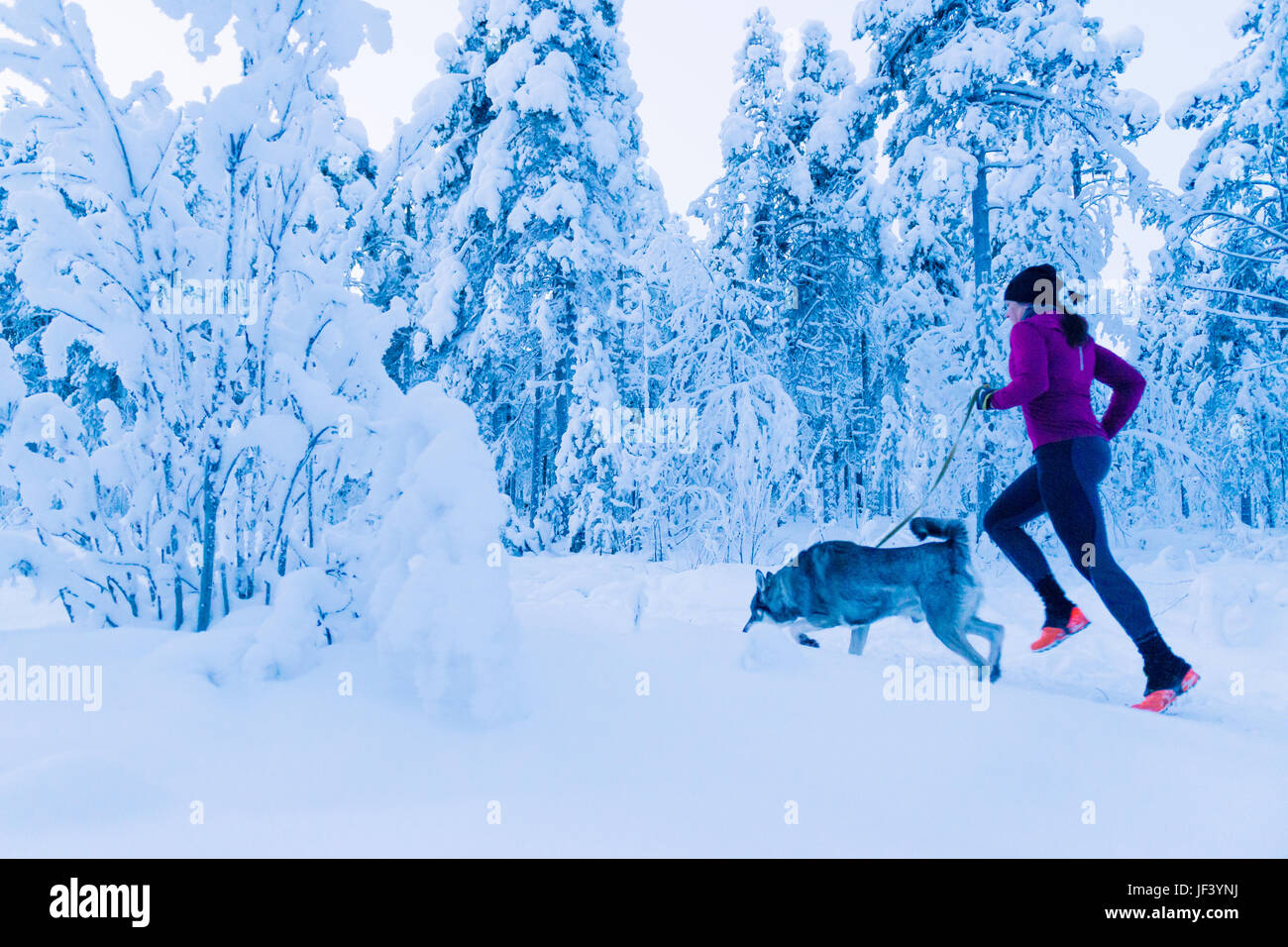 Woman with dog at winter Banque D'Images