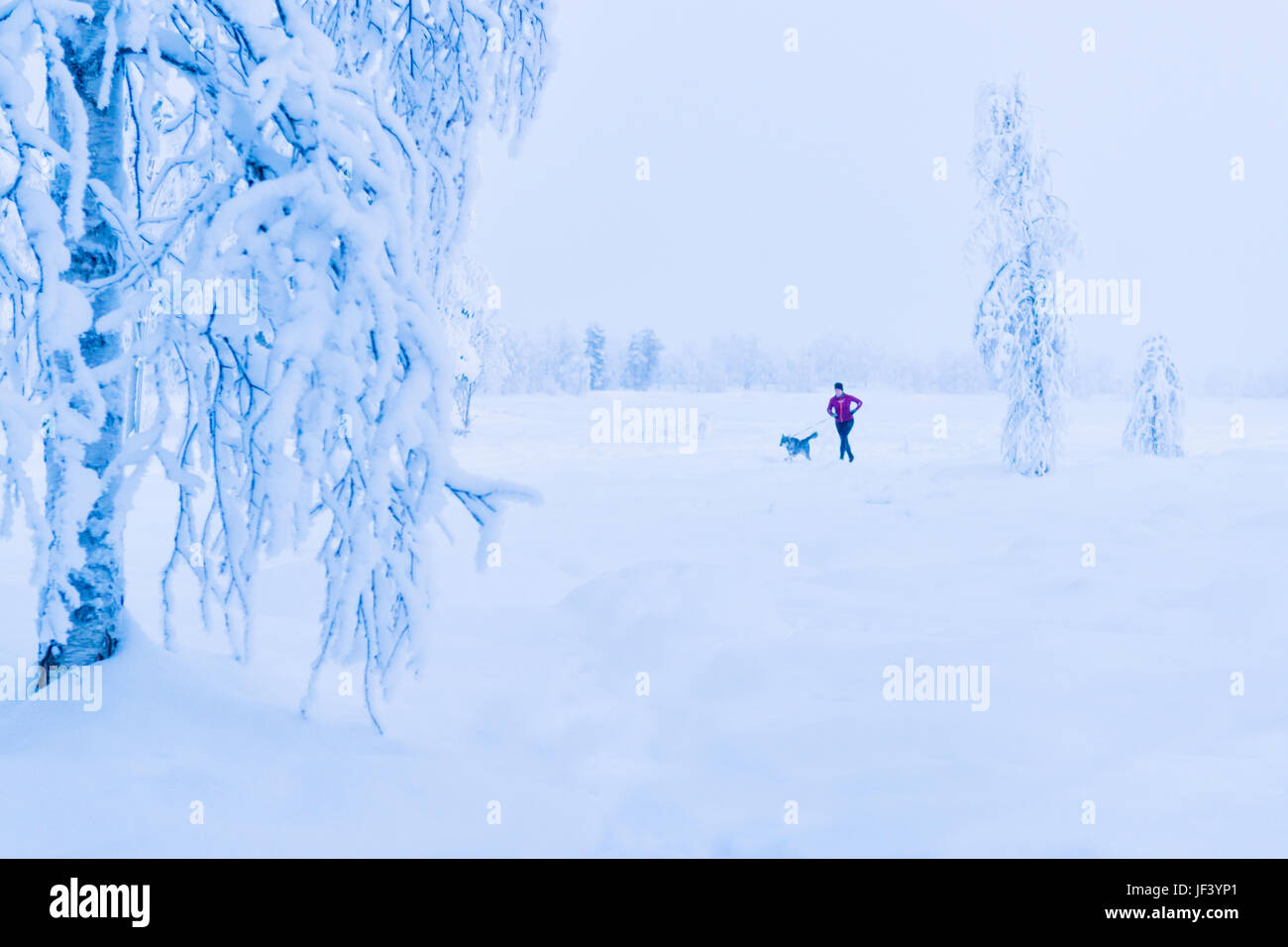 Woman with dog at winter Banque D'Images
