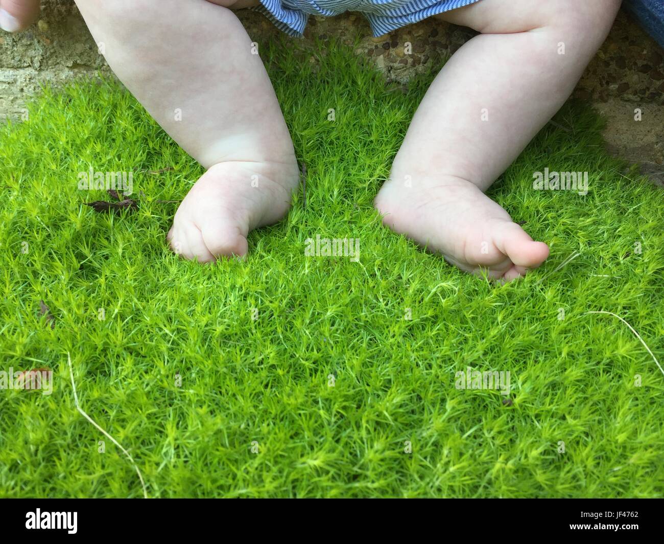 Pieds de bébé en moss Banque D'Images