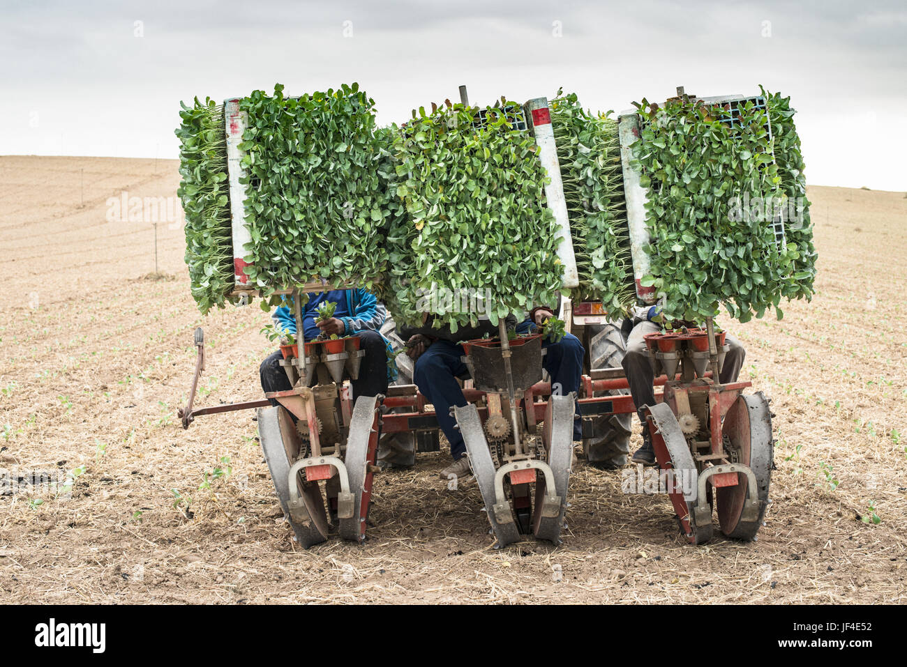 Planting machine Banque de photographies et d’images à haute résolution ...