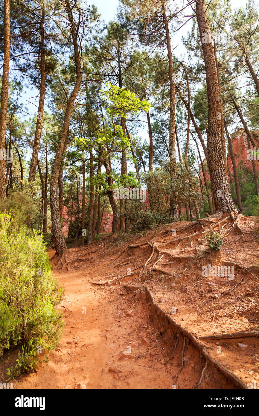 Dans la montagne ocre Roussillon. France Banque D'Images