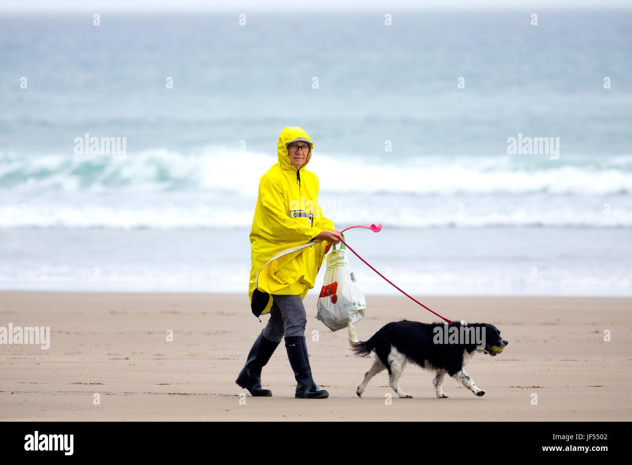 Une personne qui marche un chien en laisse le long de la plage immaculée et les chiens sont admis au cours d'une douche d'été portant un manteau de pluie jaune à Freathy Whitsand Bay, à Cornwall, Angleterre Banque D'Images