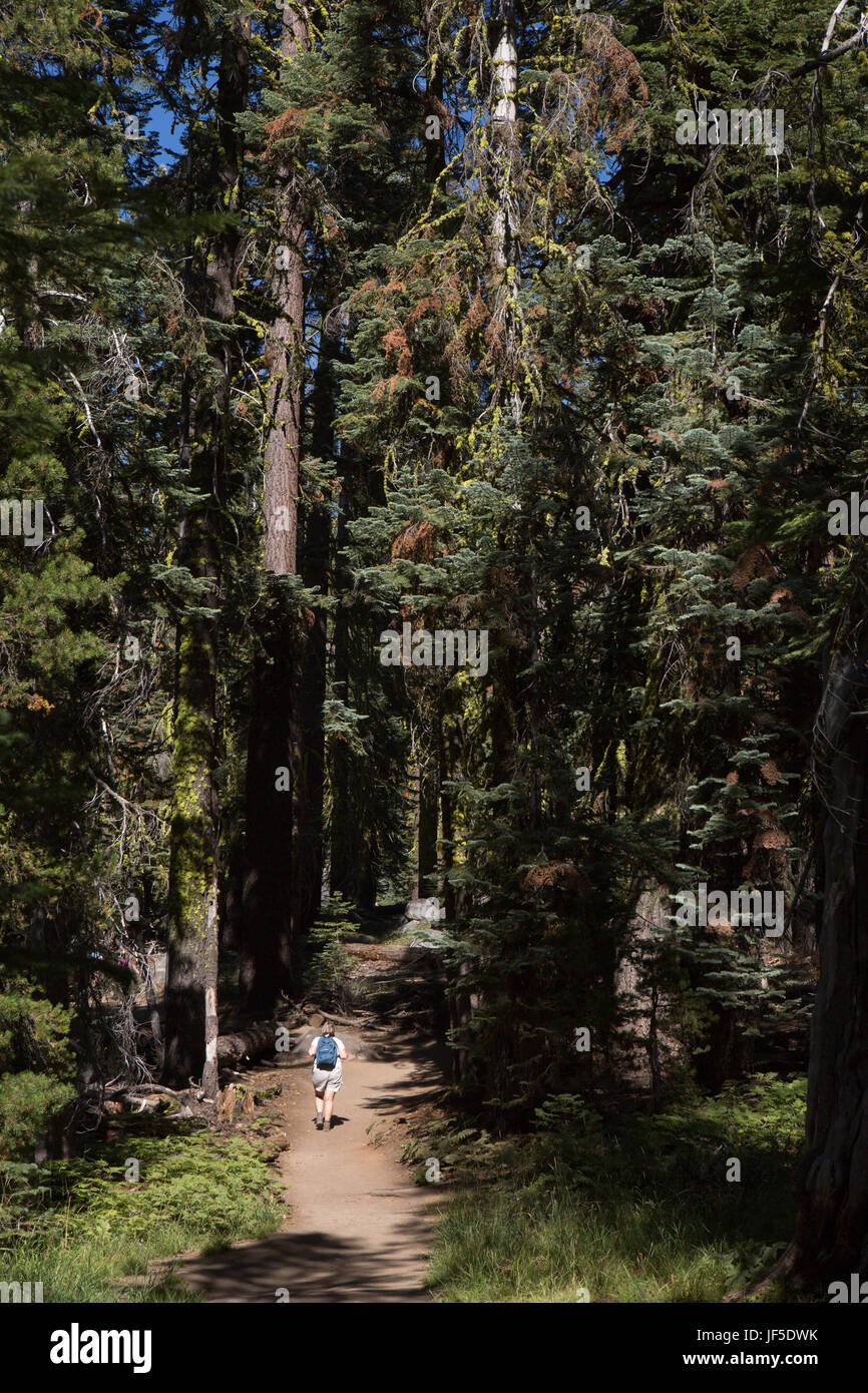 Un randonneur marche sur le sentier qui mène à Taft Point dans le Parc National Yosemite. Banque D'Images