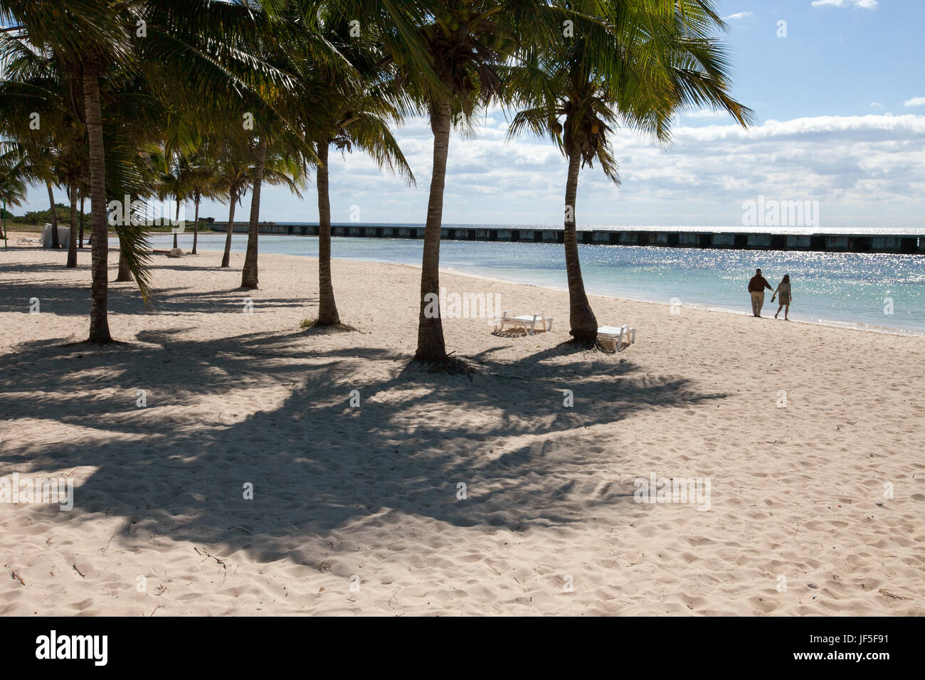 Près de chaises de plage et de palmiers, un couple se dirige vers l'océan de l'eau. Banque D'Images
