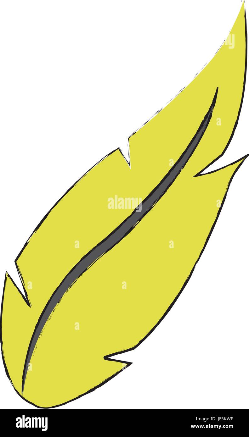 Image Naturelle Doiseaux Plumes Dessin Vecteurs Et