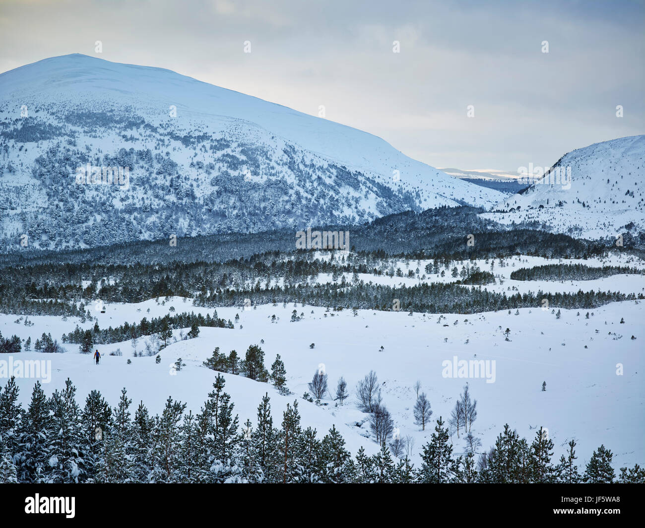 Les montagnes en hiver Banque D'Images