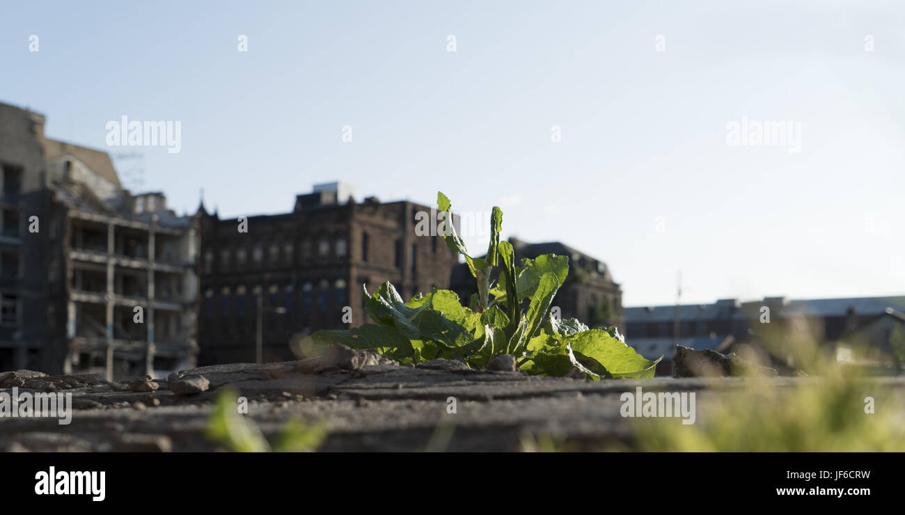 Les friches industrielles à Glasgow Banque D'Images
