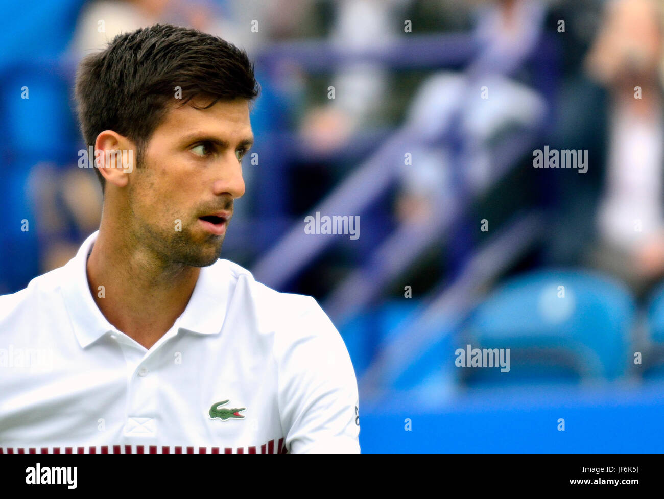 Novak Djokovic (Serbie) en jouant son premier match sur le court central à Devonshire Park, Eastbourne, au cours de l'International Aegon 2017 Banque D'Images