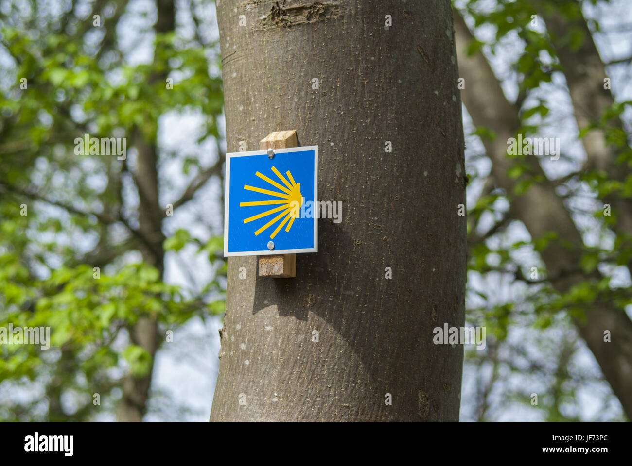 Route de Santiago, Bade-Wurtemberg, Allemagne Banque D'Images