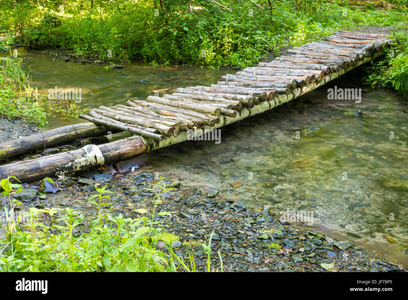 Pont de bois sur une petite rivière forest Banque D'Images