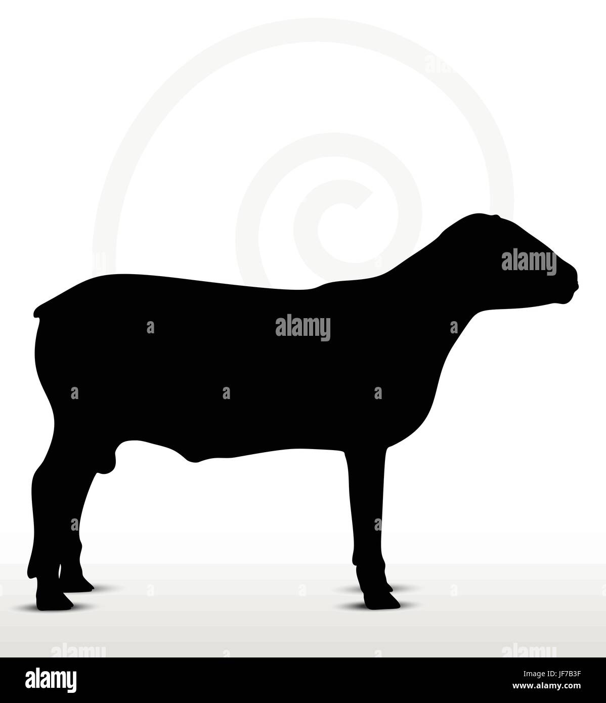 Silhouette de moutons avec posent encore debout Illustration de Vecteur