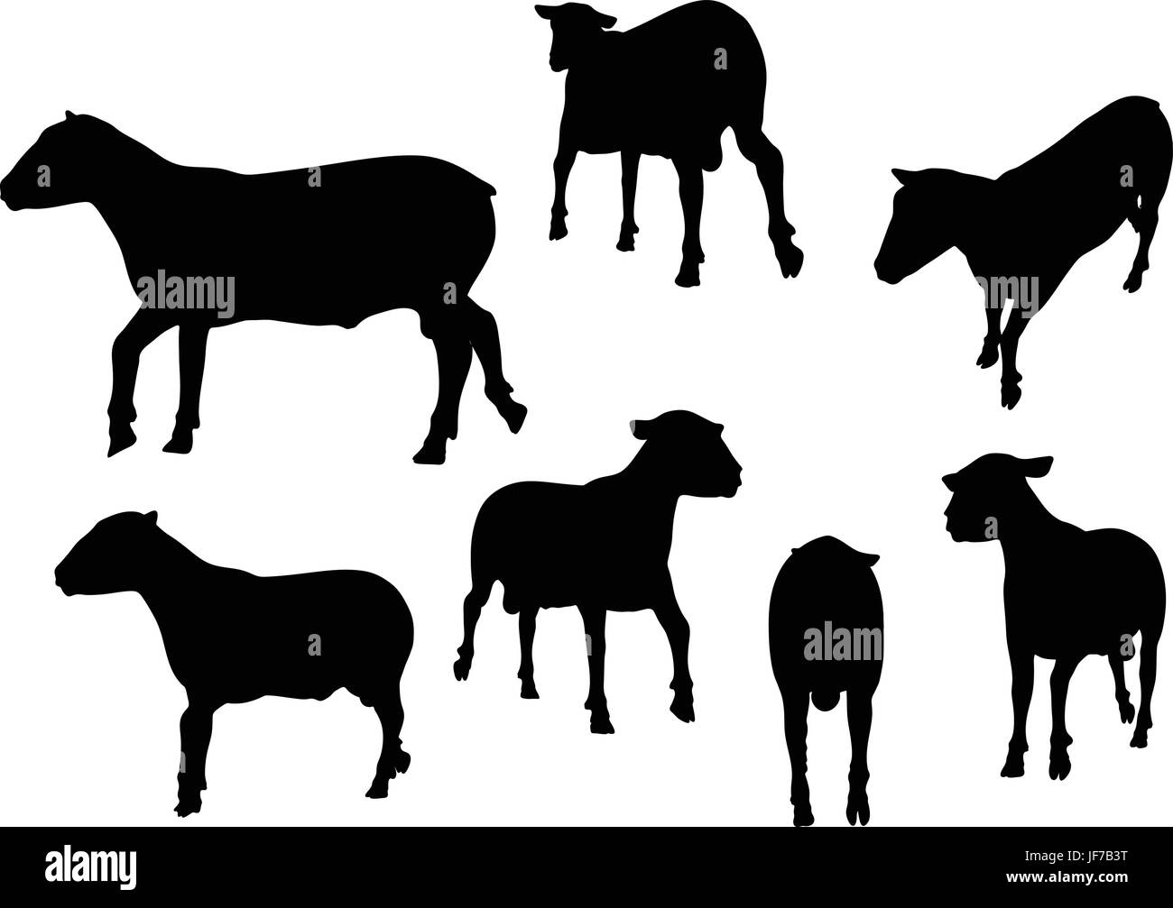 Silhouette de moutons avec trot poser Illustration de Vecteur