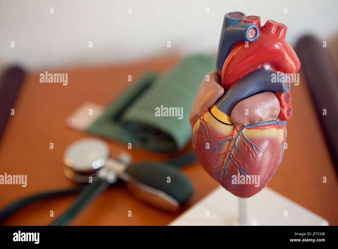 Modèle d'un cœur humain sur un bureau du médecin Banque D'Images